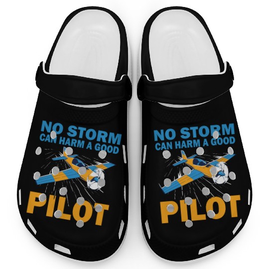 Pilot no storm can harm airplane aviation aircraft Clogs