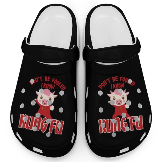 Dont Be Fooled I Know Kung Fu Clogs