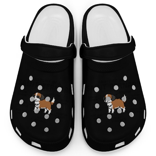 Anatomy Of A Saint Bernard Clogs