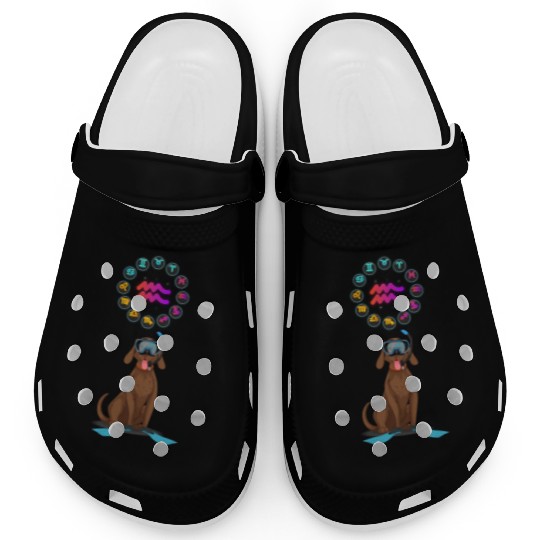 Funny Dog Lover Horoscope Aquarius Zodiac Sign Pun Clogs