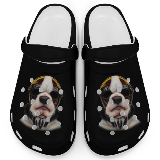 Biker Saint Bernards dog portrait motorcycle Clogs