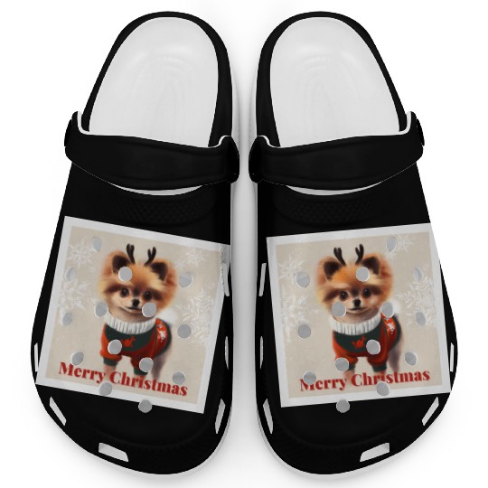 Sweet Miniature Spitz pomeranian in a Christmas. Clogs