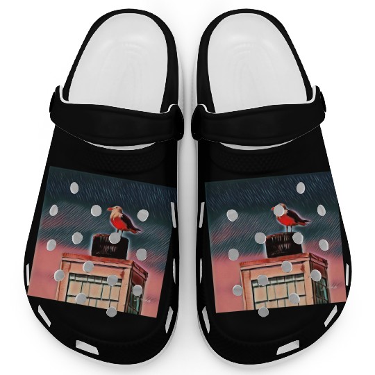 Seagull Clogs