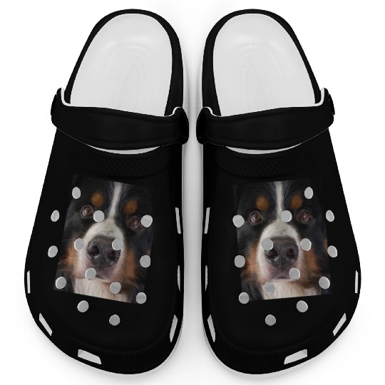 Bernese Mountain Dog Clogs