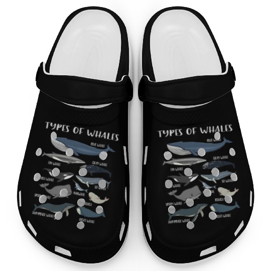 Whale Types Of Whales Whale Lover Clogs
