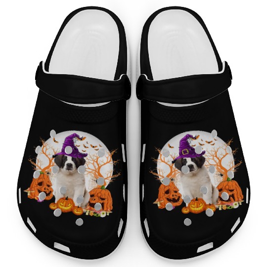 Dog Halloween Saint Bernard Dog Jack O Lantern Clogs