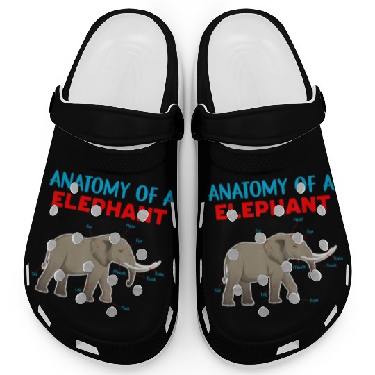 Anatomy Of A Elephant Educational Elephant Love Clogs