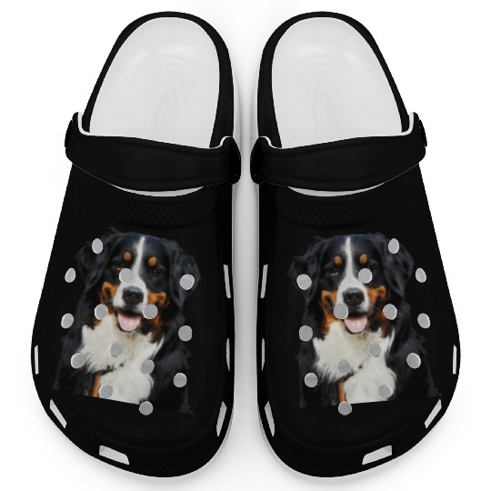 Portrait Of Bernese Mountain Dog Clogs