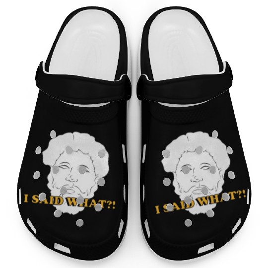 I Said What Philosophy Socrates Teacher Reading Clogs