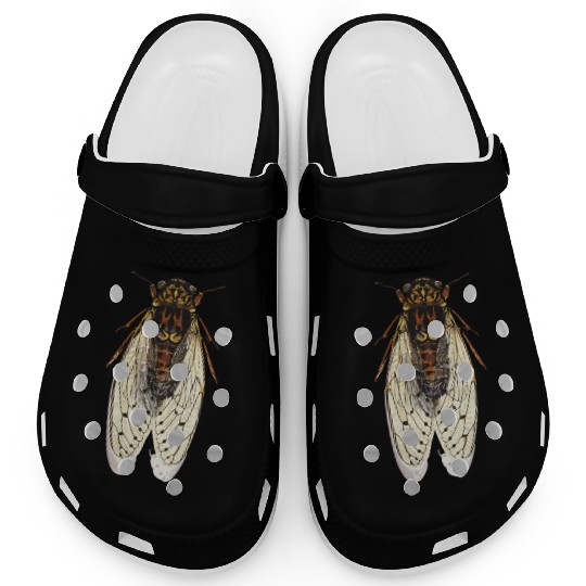 cicada Clogs