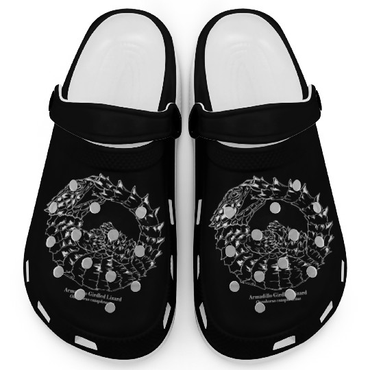 Ouroborus cataphractus Armadillo Girdled Lizard Clogs