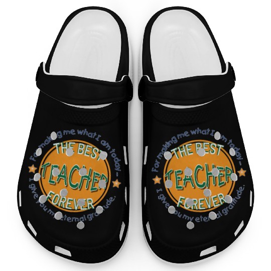 The Best Teacher Clogs