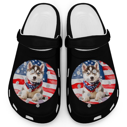 beautiful Siberian Husky with American Flag Clogs