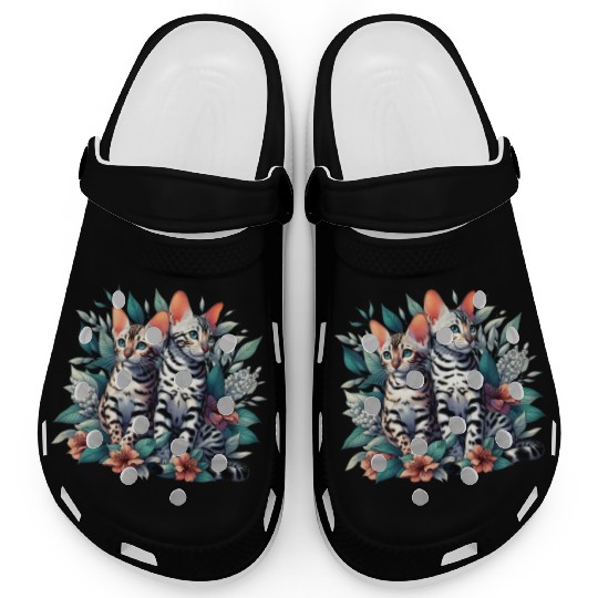 Bengal Kittens Snow Asian Cats Clogs