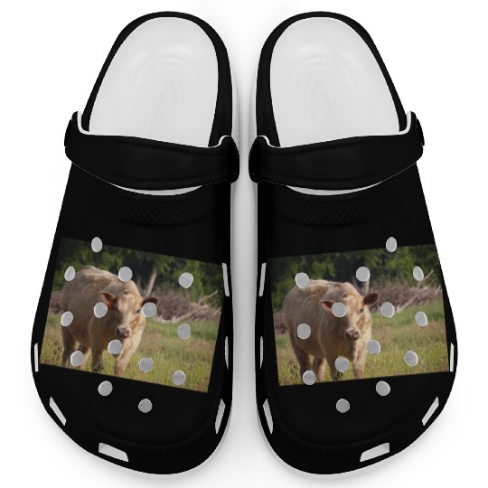 Cow Clogs