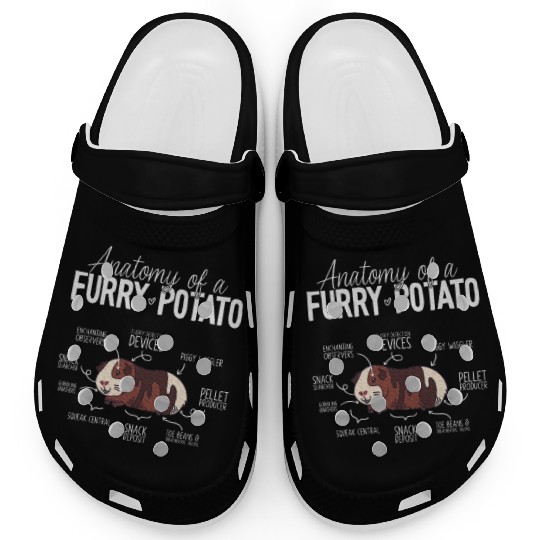 Guinea Pig Anatomy, Guinea Pig Lover, Guinea Pig Clogs