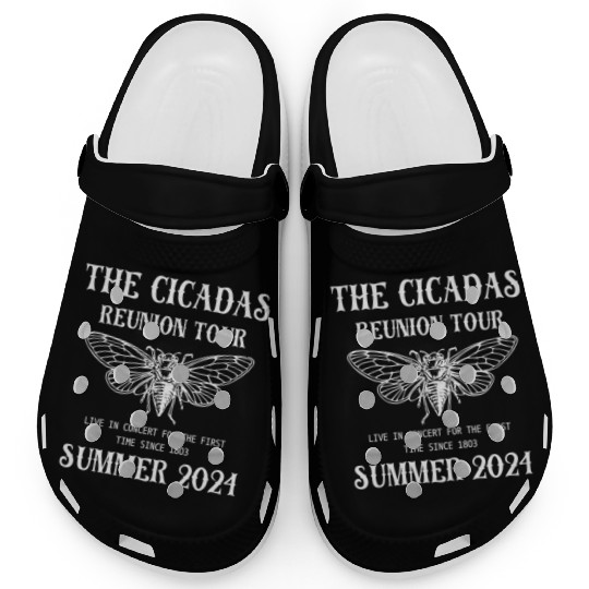 Reunion Tour 2024 Concert Clogs