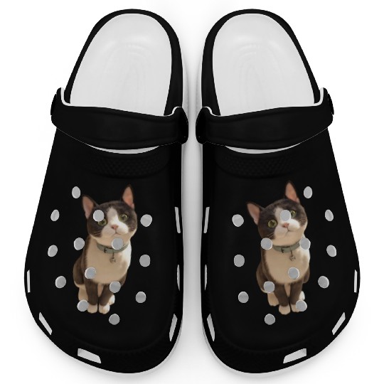 Cute kittens Clogs