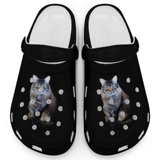 Indie the Cute Cat Clogs