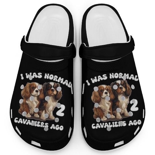 Cavalier King Charles Spaniel I Was Normal 2 Clogs