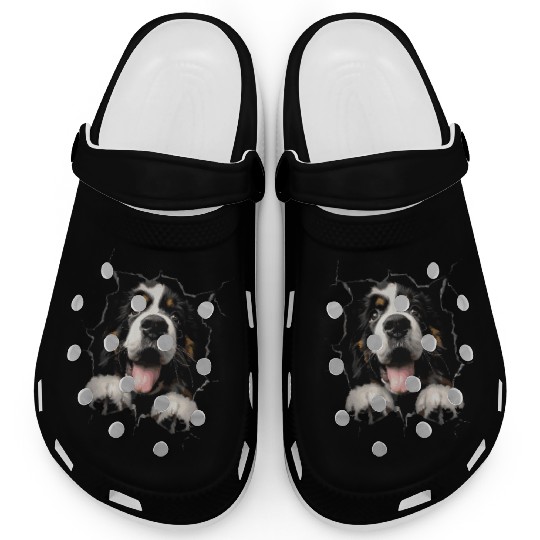 Saint Bernard Clogs