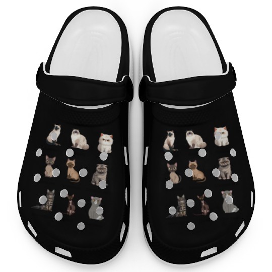 Types of Cats Future Cat Lovers Kids Feline Clogs