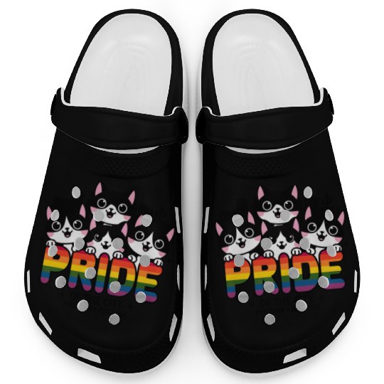 Pride of Phoenix City Arizonna USA Rainbow Flag Clogs