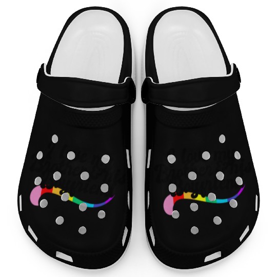 I love my brother & his boyfriend LGBTQ rights Clogs