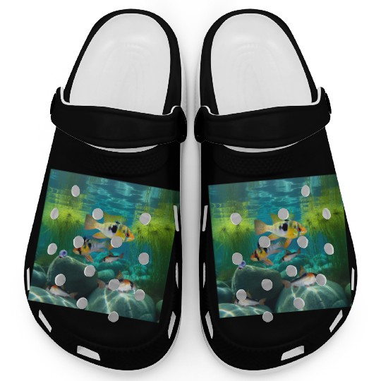 German Blue Rams Pair Dwarf Cichlid Corydoras Fish Clogs