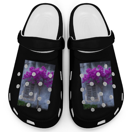 Vibrant Blossom Against Rustic Wall Clogs