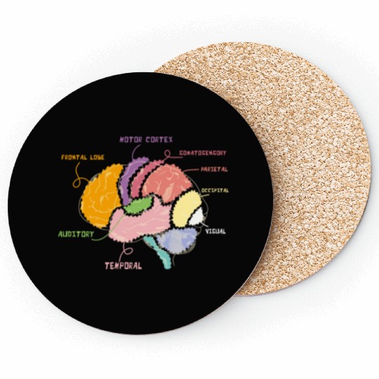 Neurology Brain Map Parts Of The Brain Anatomy Coasters
