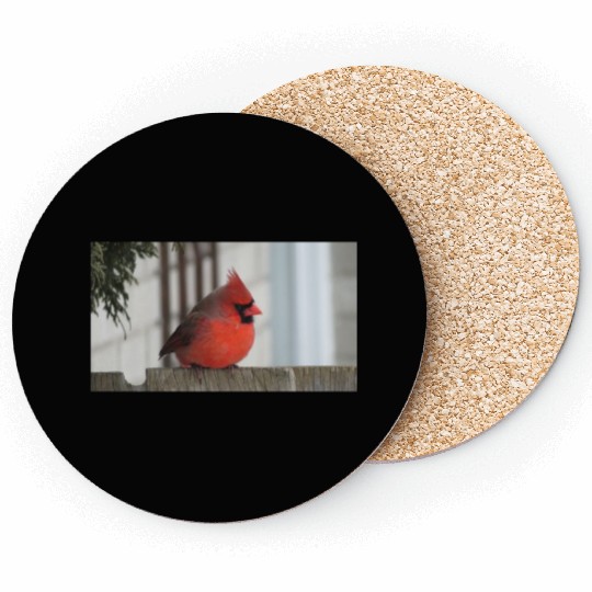 Brilliant Cardinal Bird 2 Coasters