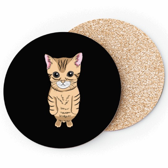 Cute Standing Cat Meme Cute Kitten Standing on Two Coasters