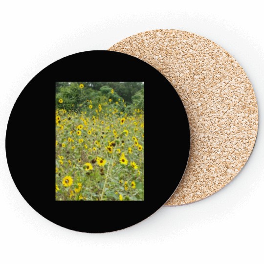 My Photography - Swamp Sunflowers in Texas Coasters