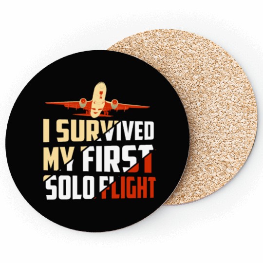 I Survived My First Solo Flight Aviation Coasters