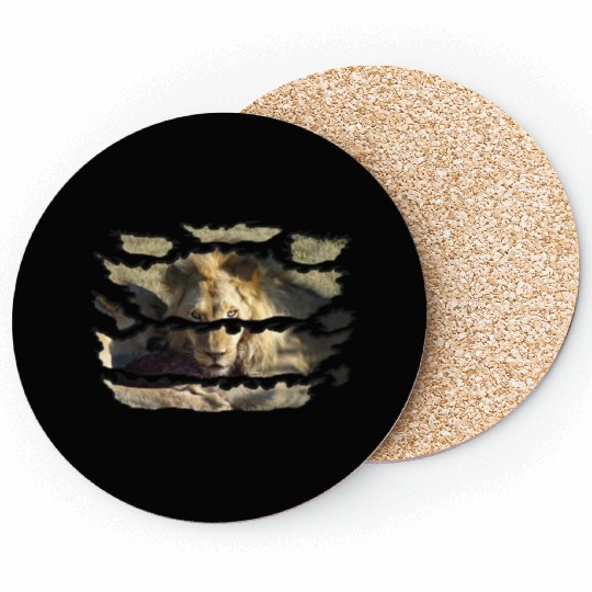 Ripped Wildlife Lion Stare Coasters