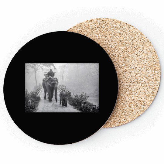 Elephant Mom and Baby In Jungle Safari Coasters