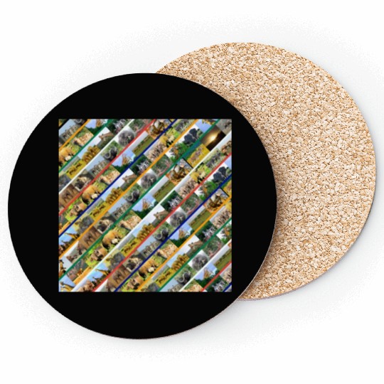 Wildlife Stripe Multi Color Collage Coasters