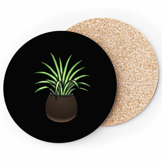 Spider Plant Coasters