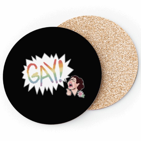 Hey Florida Guess What Coasters