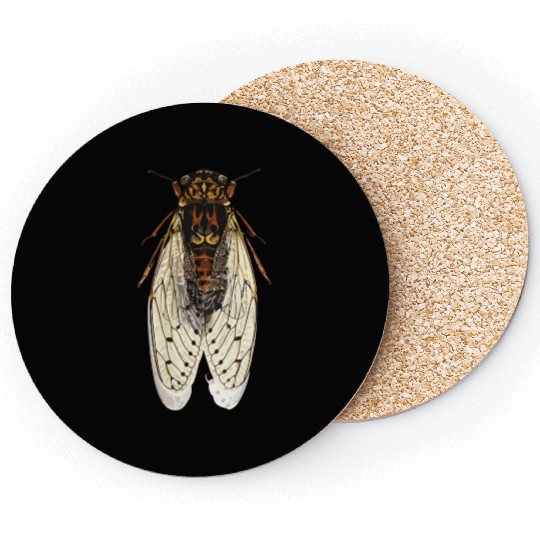 cicada Coasters