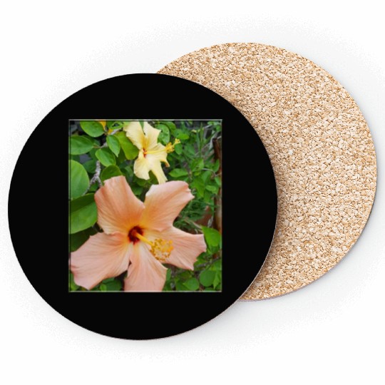 Hibiscus 5 Coasters