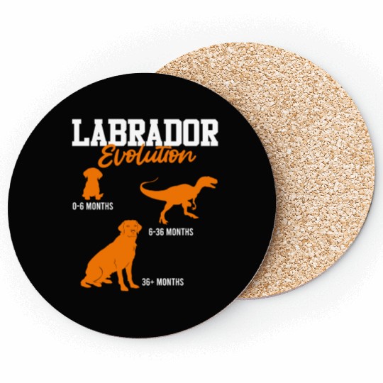Labrador EVOLUTION Labrador Lover Labrador Coasters