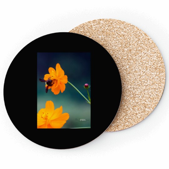 Nature bee Coasters