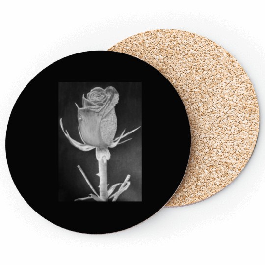 Realistic Graphite Rose & Dew Drawing - RT Art © Coasters