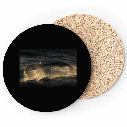 Humpback Whale Tail Coasters