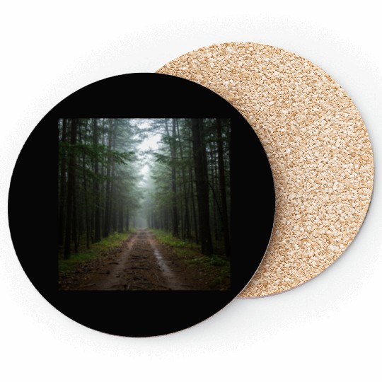 Serene Forest Path Scenic Coasters