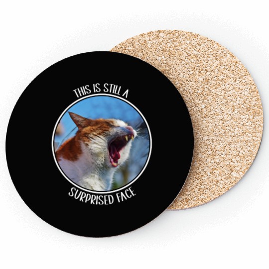 This is Still A Surprised Face Funny Cute Cat Meme Coasters