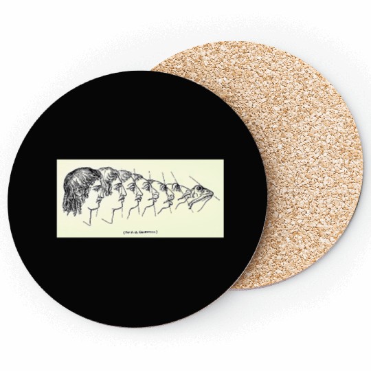 Vintage Evolution Man Into Frog - Werefrog! Coasters
