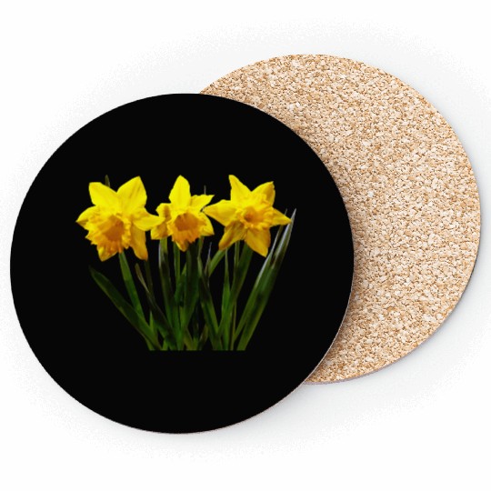Daffodil Trio Coasters